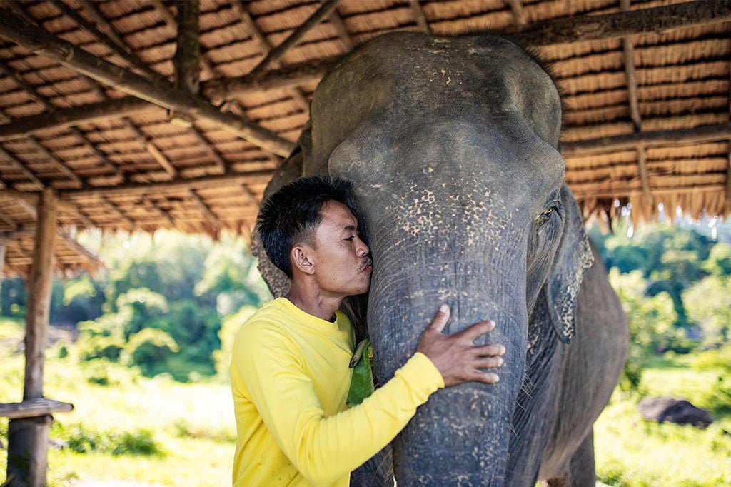 elephantpark phuket