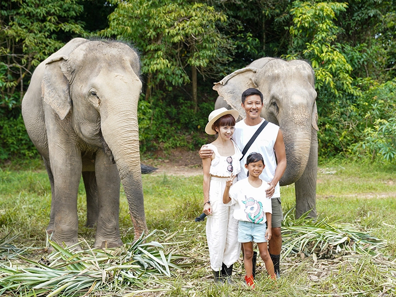 travel family in thailand