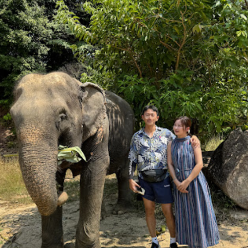google review bukit elephant park