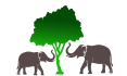 Color logo